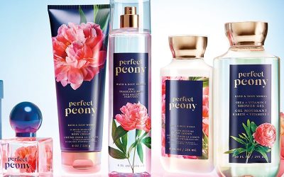 مراقبت از Ù¾Ùˆست